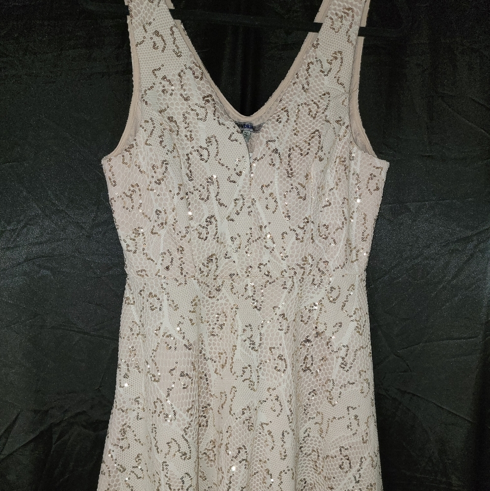 Bailey Blue Dress